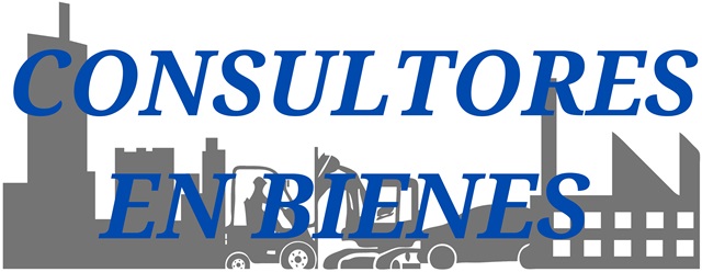 Consultores en Bienes